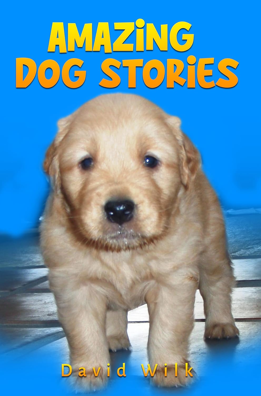 Amazing Dog Stories by David Wilk: A Heartwarming and Thrilling Collection for Every Dog Lover