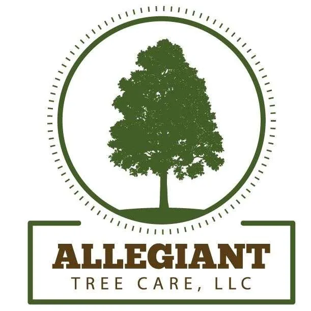 Why Homeowners Trust Allegiant Tree Care for Expert Tree Removal and Preservation