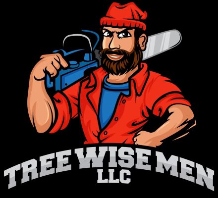 Tree Removal Experts in Janesville, WI: Tree Wise Men Offer Eco-Friendly, Community-Focused Services