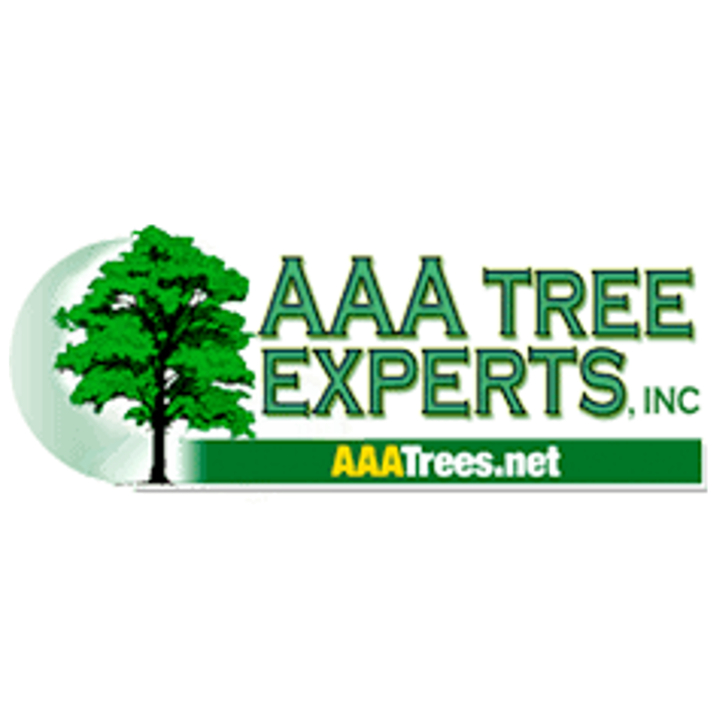 AAA Tree Experts Provide Tree Care to Prepare Homeowners for Safe Holiday Gatherings