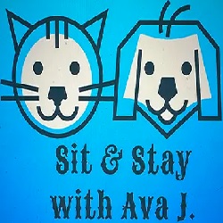 Sit & Stay with Ava J. Provides Trusted, Fully Insured, Year-Round Pet Care Services in Birmingham, Bloomfield, West Bloomfield, and Surrounding Areas